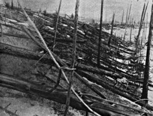 Ledakan Tunguska meratakan 2000 km2 hutan Siberia, gambar didapatkan dari expedisi Leonid Kulix pada 1927
